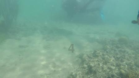 西宁:借助数字化手段推动“河湖长治”